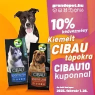 Cibau február