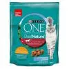 ONE Dual Nature Száraz Macska Adult Csirkével és áfonyával 750g