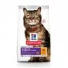 Hills Science Plan Feline Adult Sensitive Stomach & Skin 7 kg 604069