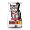 Hills Science Plan Feline Adult Hairball & Indoor Chicken 300 g