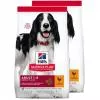 Hill´s Science Plan Canine Adult Chicken 2x2,5kg 6042742X