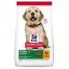 Hills Science Plan Canine Puppy Large Breed 2,5 kg 604304