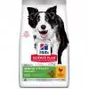 Hills SP Canine Senior Vitality Medium Chicken 2,5kg 605272