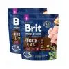 Brit Premium by Nature Adult Small 2x1kg B1708092X