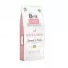 Brit Care Hair & Skin Insect & Fish száraz kutyatáp 12kg BC171704