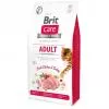 Brit Care Cat Grain Free Adult Activity macskatáp 7kg BCC40815