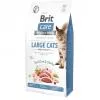 Brit Care Cat Grain Free Adult Large Cats macskatáp 7kg BCC40907