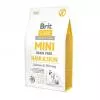 Brit Care Mini Hair & Skin 0,4kg BCMHS04