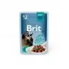 Brit Premium Cat Delicate Fillets marha szószban 85g