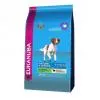 Eukanuba Mature & Senior Lamb & Rice 2x12kg