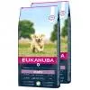 Eukanuba Puppy Large Lamb & Rice 2x12kg EUK206452X