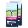 Eukanuba Puppy & Junior Grain Free Large Ocean Fisch 2x12kg EUKG48072X