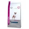 Eukanuba Breed Boxer 2x12kg EUKSPE232X