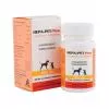 Hepa-Pet Plus 250 mg tabletta 30x