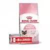 Royal Canin Mother & Babycat 2kg-kölyök és anya macska száraz táp + 1 db konzerv