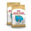 Royal Canin French Bulldog Junior 2x3kg-Francia Bulldog kölyök kutya száraz táp