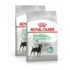 Royal Canin Mini Digestive Care 2x8kg-száraz táp érzékeny emésztésű felnőtt kutyáknak