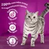 Whiskas Sterilie száraz macskaeledel csirkével 1,4kg