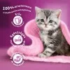 Whiskas Junior macskaeledel csirkével 1,4kg