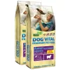 Dog Vital Adult Sensitive Maxi Breeds Lamb 2x12kg DV04342X