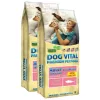 Dog Vital Adult Sensitive All Breeds Fish 2x12kg DV04382X