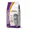 Gemon Cat Kitten macskaeledel csirke-rizs 2kg G297134