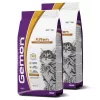 Gemon Cat Kitten macskaeledel csirke-rizs 2x2kg G2971342X