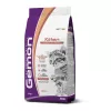 Gemon Cat Kitten macskaeledel lazac-rizs 2kg