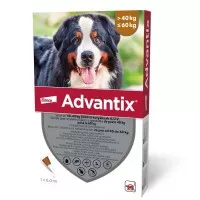 Advantix spot on 40-60 kg közötti kutyáknak AUV 1 x 6 ml