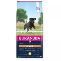 Eukanuba Junior Large kutyatáp 15kg