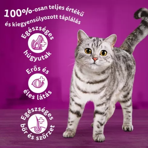 Whiskas száraz macskaeledel marhával 1,4kg