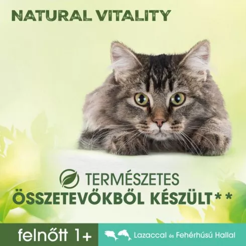 PERFECT FIT Vital Nature Cat Adult Lazac 650gr