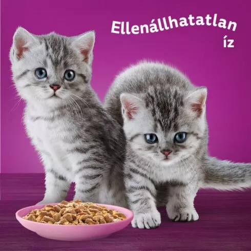 Whiskas Alutasakos Junior Csirke Aszpikban 85g