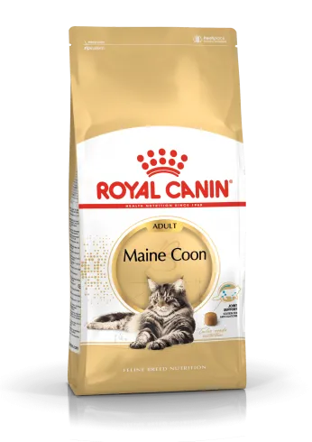 Royal Canin Maine Coon Adult 400g-Maine Coon felnőtt macska száraz táp