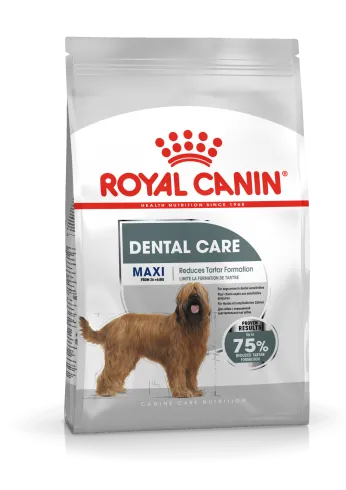 Royal Canin Maxi Dental Care 9kg-száraz táp felnőtt kutyák részére fogkőképződés csökkentéséért