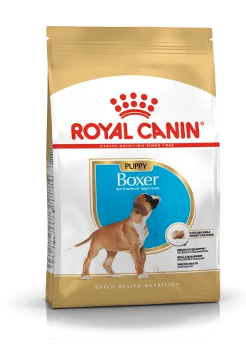 Royal Canin Boxer Junior 3kg-Boxer kölyök kutya száraz táp