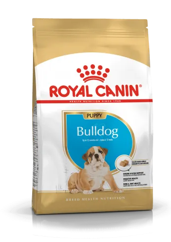 Royal Canin Bulldog Junior 12kg-Angol Bulldog kölyök kutya száraz táp