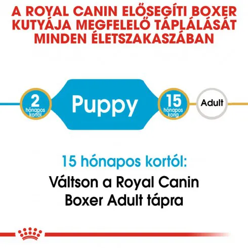 Royal Canin Boxer Junior 3kg-Boxer kölyök kutya száraz táp