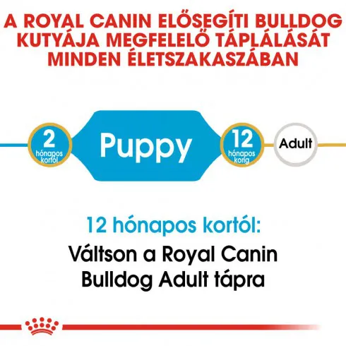 Royal Canin Bulldog Junior 12kg-Angol Bulldog kölyök kutya száraz táp