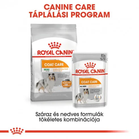 Royal Canin Mini Coat Care 1kg- száraz táp felnőtt kutyáknak az egészségesebb szőrért és bőrért