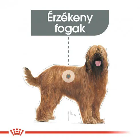 Royal Canin Maxi Dental Care 9kg-száraz táp felnőtt kutyák részére fogkőképződés csökkentéséért