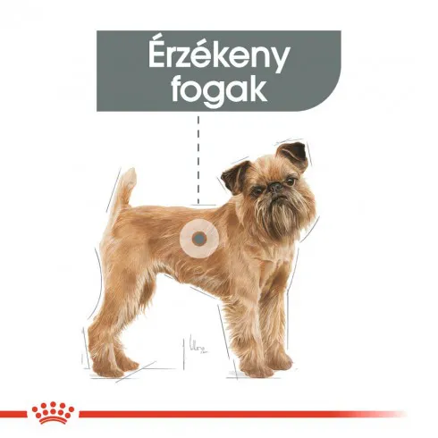 Royal Canin Mini Dental Care 8kg-száraz táp felnőtt kutyák részére fogkőképződés csökkentéséért