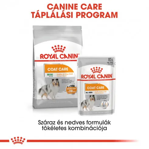 Royal Canin Coat Beauty Care 85g-nedves táp felnőtt kutyáknak az egészségesebb szőrért és bőrért