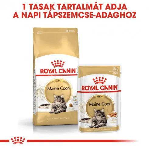 Royal Canin Maine Coon Adult 12x85g - Maine Coon felnőtt macska nedves táp