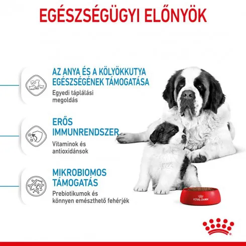 Royal Canin Giant Starter Mother & Babydog 15kg-óriás testű kölyök és vemhes kutya száraz táp