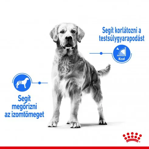 Royal Canin Maxi Light Weight Care 12kg-száraz táp hízásra hajlamos felnőtt kutyáknak