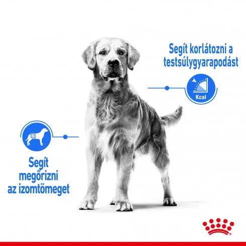 Royal Canin Medium Light Weight Care 3kg-száraz táp hízásra hajlamos felnőtt kutyáknak