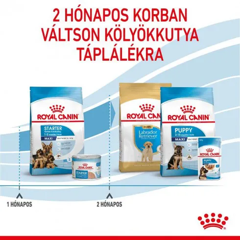 Royal Canin Maxi Starter 1kg- nagy testű kölyök és vemhes kutya száraz táp