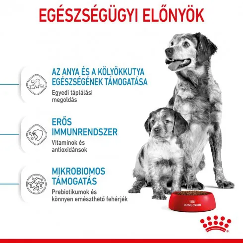 Royal Canin Medium Starter Mother & Babydog 15kg-kölyök és vemhes kutya száraz táp