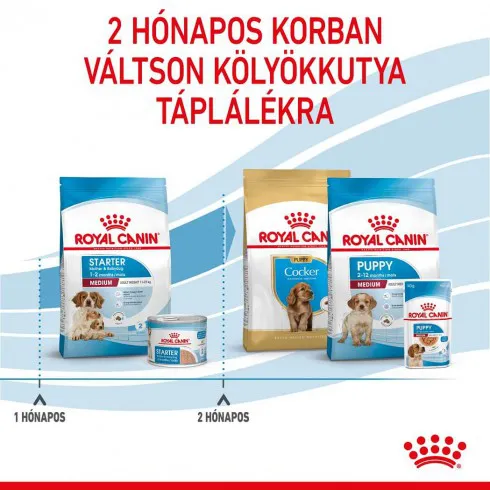 Royal Canin Medium Starter Mother & Babydog 15kg-kölyök és vemhes kutya száraz táp